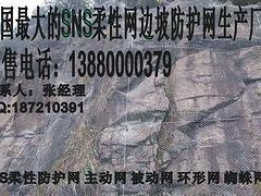 火热供销四川畅销的GPS2主动网|RXI025R