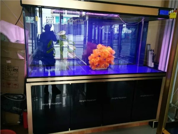 兰州三森水族箱批发，西宁 水族箱批发，嘉峪关水族
