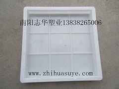 嘉兴哪里有供应优惠的彩砖模具 彩砖塑料模具价格