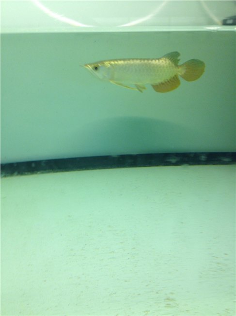 水族箱专业定做哪家好，青岛水族箱专业定做。@青岛