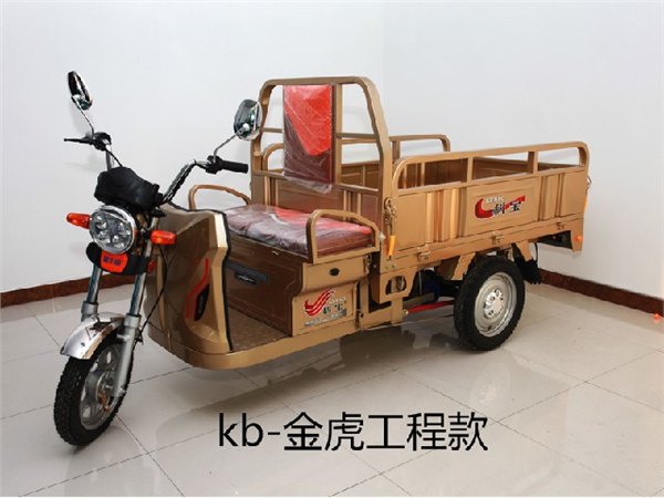济南电动车配件：济南哪家生产的kb-金虎工程款电