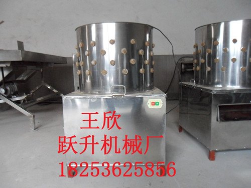 鹅打毛机供应
