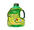 天津精品茶油批发供应，出售中粮茶油