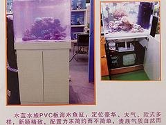 名声好的PVC板海水鱼缸供应商：价格合理的PVC
