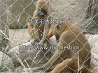 河北售卖华美不锈钢价格怎么样，动物笼舍网厂家