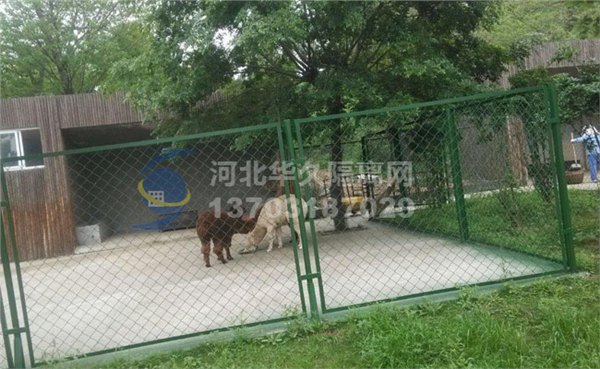 养殖隔离网 华久养殖隔离网