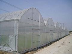 温室大棚建设，潍坊优质温室大棚建设公司，当属盈丰