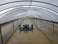 销量好的水产养殖膜潍坊供应|水产养殖膜价格