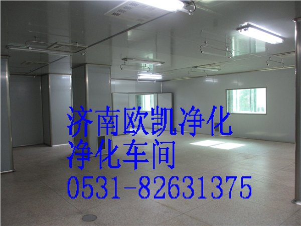 河北十万级无菌净化车间|想买价位合理的十万级净化