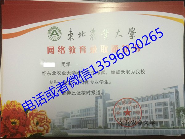 网络教育推荐|沈阳网络教育报名时间