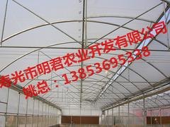 山东口碑好的温室大棚骨架，北京大棚骨架