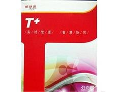 河口用友_诚荐一流的用友T+