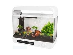 优惠的 负离子礼品鱼缸，亮彩水族供应_韩版小缸负