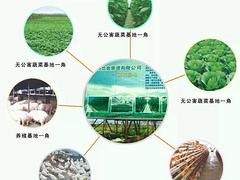 日日佳餐饮供应专业的蔬菜农副产品粮油配送   农