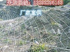 重庆供应主动防护网：大量供应销量好的主动防护网