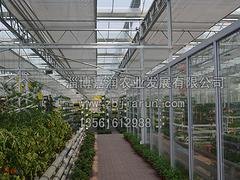 育苗温室建造——专业的育苗温室建设