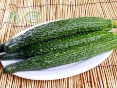 去哪找声誉好的有机黄瓜厂商|有机蔬菜好吃吗
