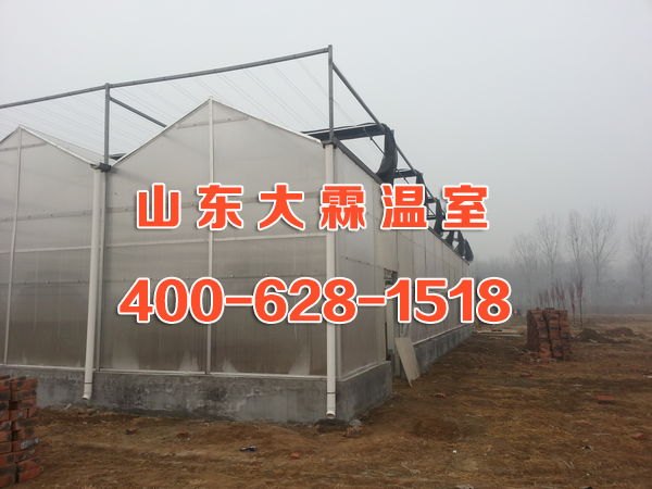 青州阳光板温室大棚建设