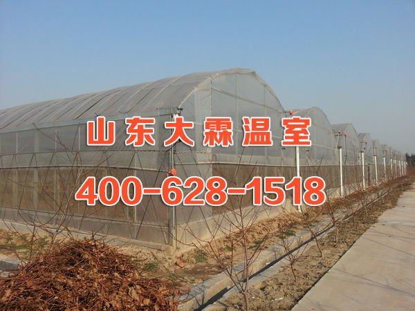 薄膜连栋温室玻璃温室厂家