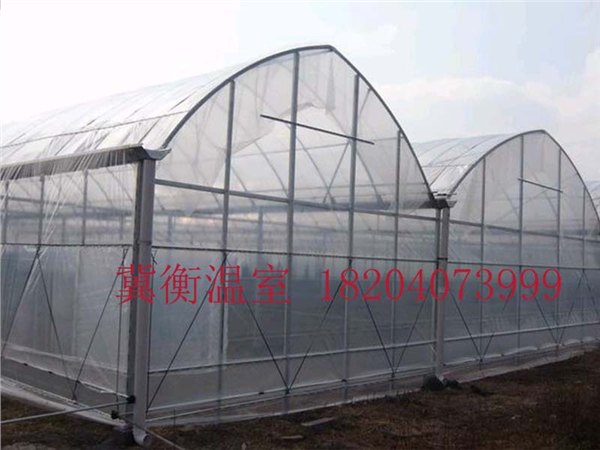 建造连栋大棚就来沈阳冀衡温室大棚 连栋大棚安装
