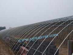 山东质量好的温室大棚 温室大棚施工公司