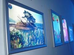 白银拉布灯箱：【推荐】兰州口碑好的超薄灯箱