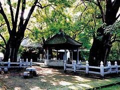 潍坊实惠的古城景点【荐】——潍坊旅游景点