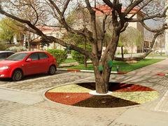 厦门提供优质的胶粘石透水地坪透水混凝土：厦门胶粘