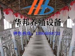 河南母猪育肥喂料线_山东好用的养猪自动喂料线供应