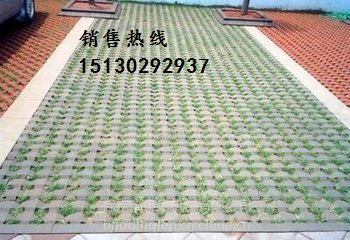 草坪砖、彩砖模具