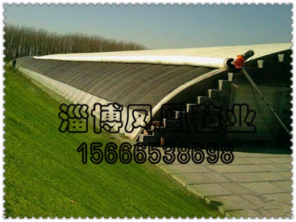 大棚棉被厂家【大棚棉被哪家好】凤凰毡业_大棚棉被