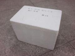 优质的泡沫箱子供应|莆田保丽龙泡沫箱子