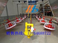 肉鸡料线批发|具有口碑的肉鸡料线市场价格情况