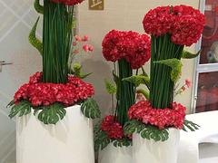 杭州盆栽植物：优质花卉租赁，杭州山点水提供
