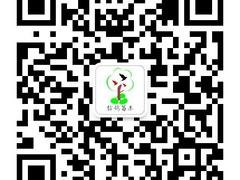 想要好的崇义绿化苗木就来信鸽绿化，赣州绿化苗木厂