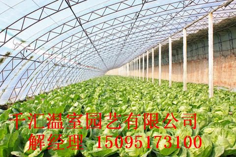 ||花卉温室大棚||花卉温室大棚建设||花卉温室