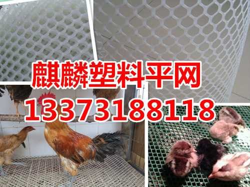养殖塑料平网价格-养殖塑料平网厂家
