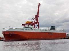 厦门哪里有上乘危险品物流，口碑好的危险品物流