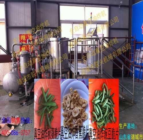 专业的真空油炸机最新报价-真空油炸机
