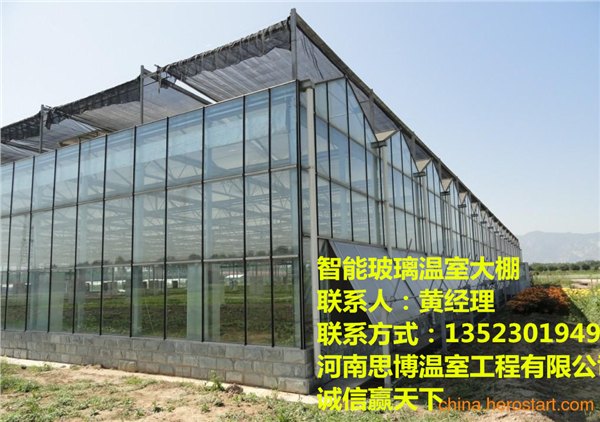 钢管大棚造价_思博温室_钢架大棚建造价格