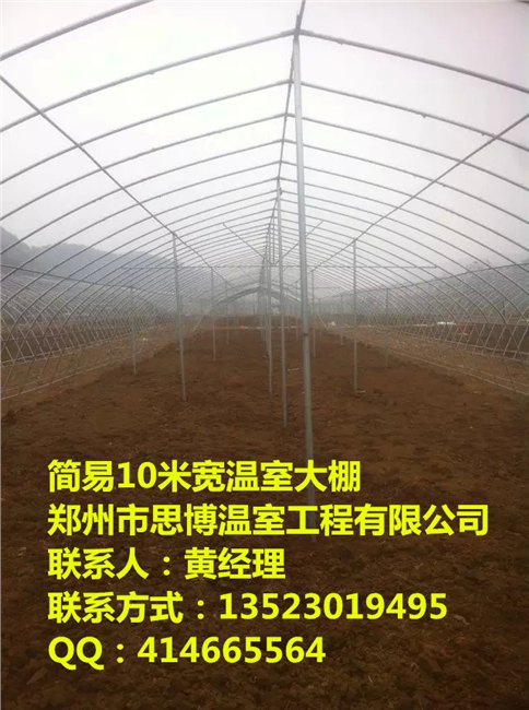 建造一个简易拱棚多少钱