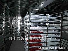 中药材烘干设备价位——高性价中药材烘干设备在哪可