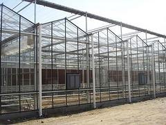 去哪找靠谱的温室大棚建造_温室大棚建造价格