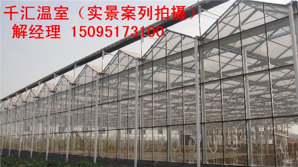 这里有【连栋温室大棚】-连栋温室大棚建设-价格-
