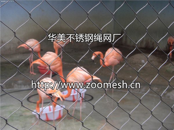想买优质鸟语林网，华美是您理想的选择 黄山鸟语林