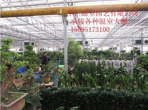 这里有【花卉温室大棚】花卉温室大棚价格-建造-建