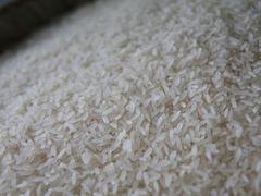 分销米_河南价格合理的大米【供应】