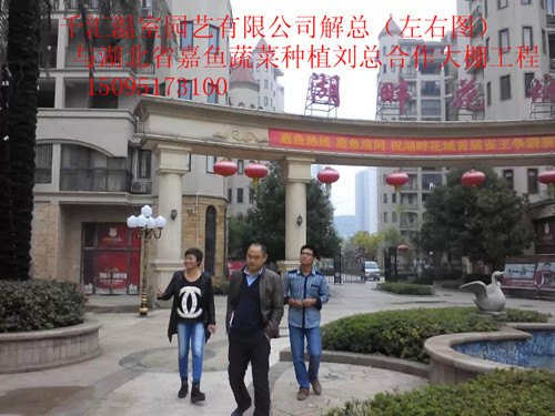 连栋温室大棚-设计-那家好-价格【连栋温室大棚建