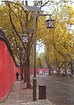 买优质能庭院灯，就选西安炎炫新能源——中国西
