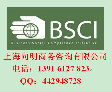 BEURER GMBH验厂辅导GSV验厂GSV认证